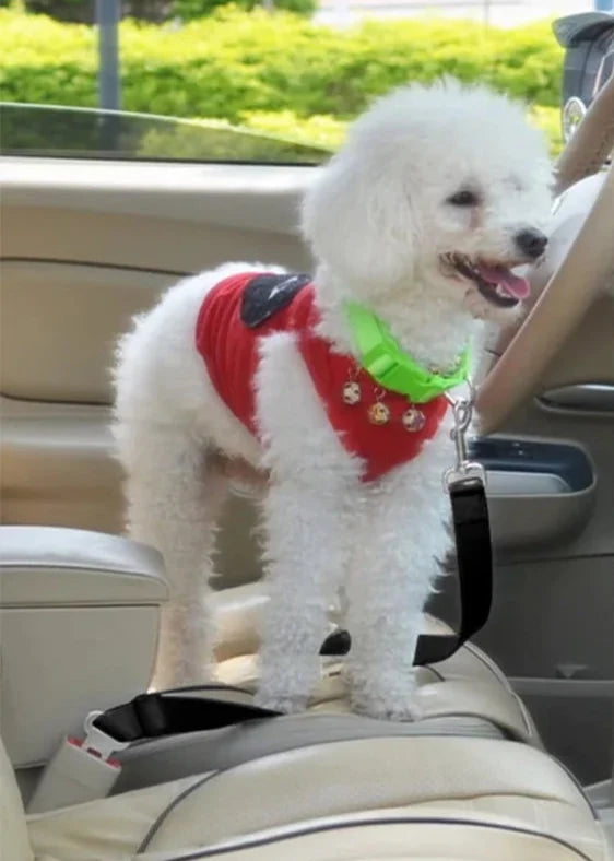 Adjustable Pet Car Seat Belt & Leash – Dual-Function Safety Strap – TetherPaw™