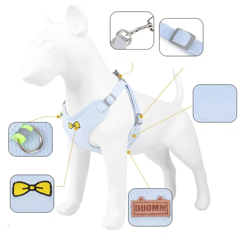 Velvet Collar & Leash Set for Small to Medium Dogs – PlushLead™