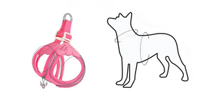 Pet Collar & Leash Set – Waterproof Reflective Nylon – Trotta™