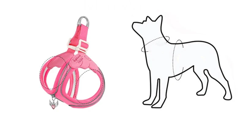 Pet Collar & Leash Set – Waterproof Reflective Nylon – Trotta™