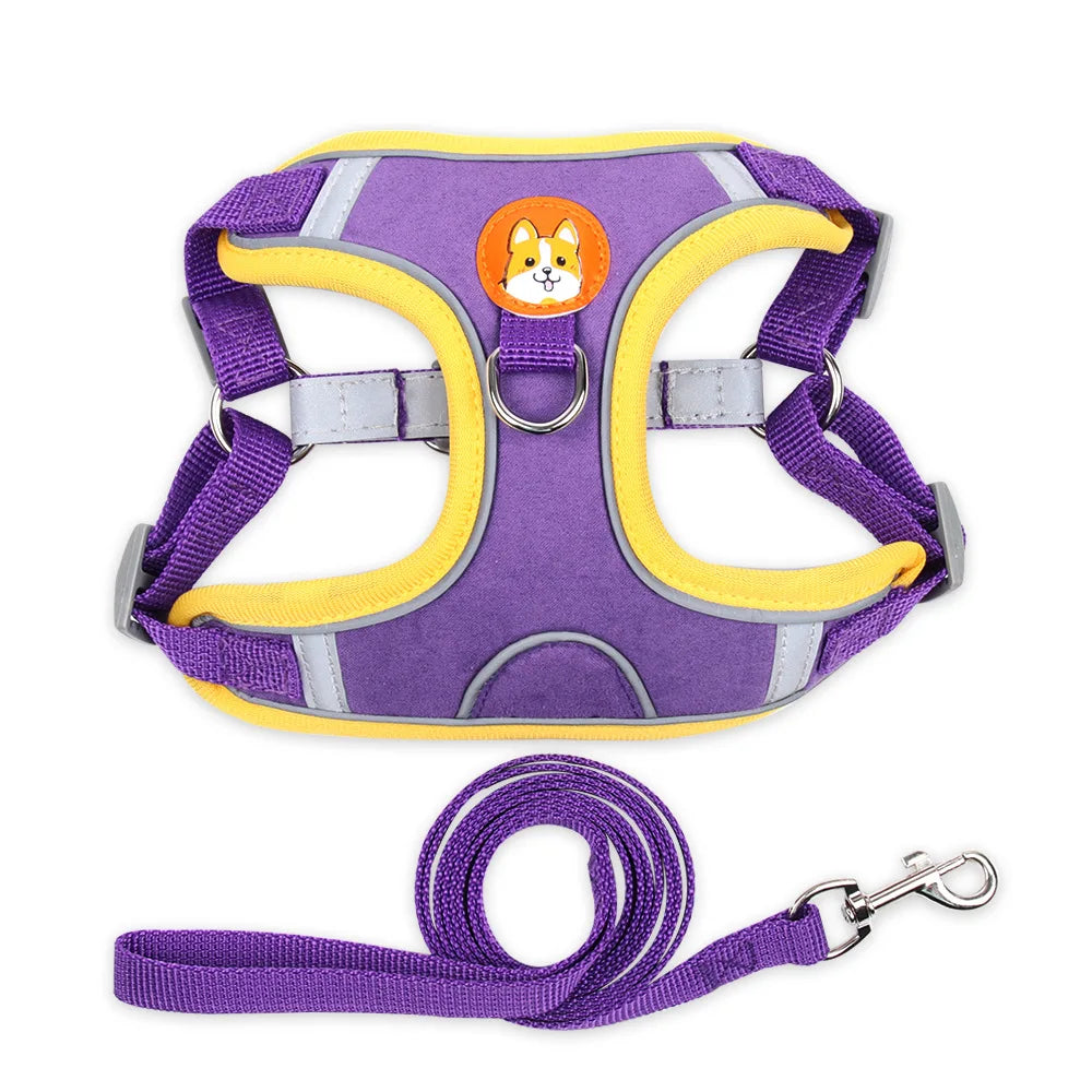 Polyester Mesh Dog Collar & Leash Set for Small to Large Dogs – Nokwell™