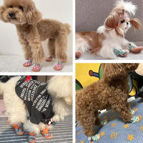 Non-Slip Pet Shoes with Breathable Upper & Adjustable Straps – StreetPaws™