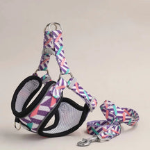 Soft Polyester Collar and Leash Set for Dogs and Cats – Kivora™