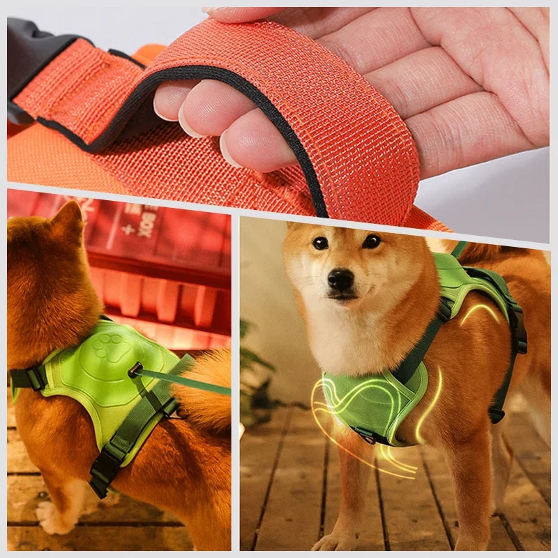 Retractable Dog Harness & Leash Set with Adjustable Straps – Retrako™