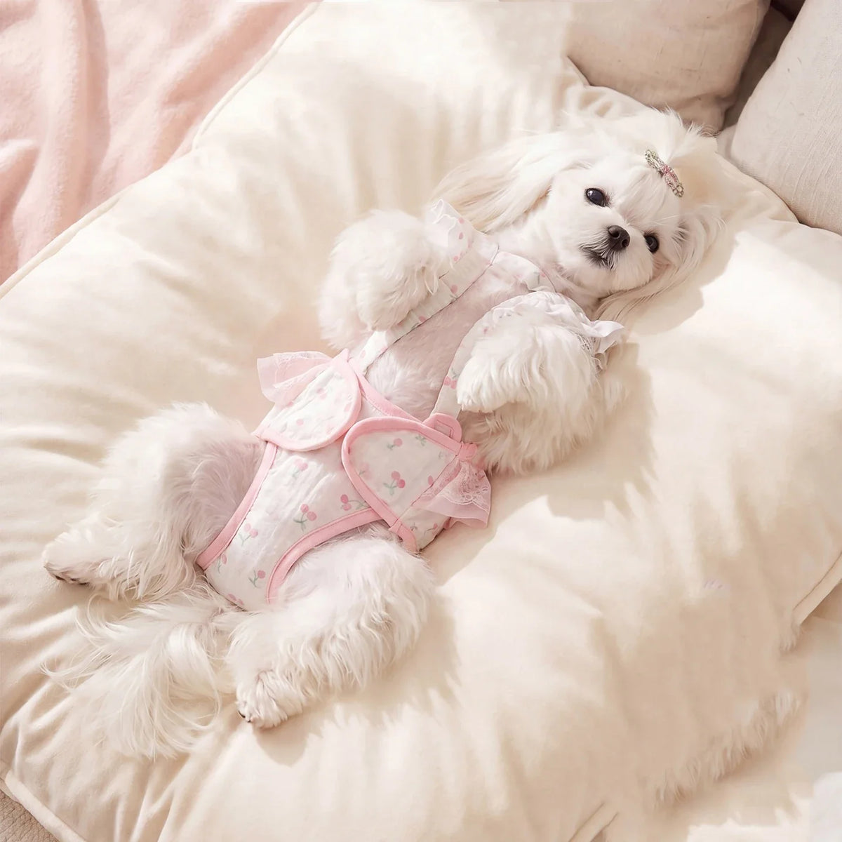 Dog Diaper Panties for Female Dogs in Heat – Britchie™