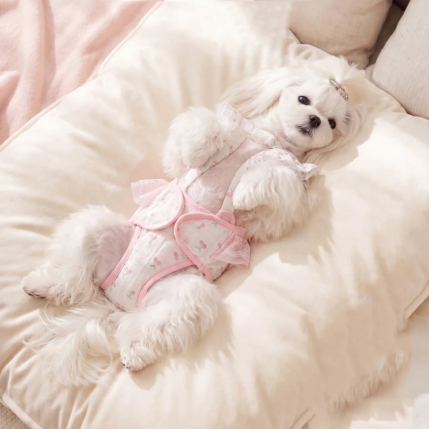 Dog Diaper Panties for Female Dogs in Heat – Britchie™