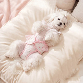 Dog Diaper Panties for Female Dogs in Heat – Britchie™
