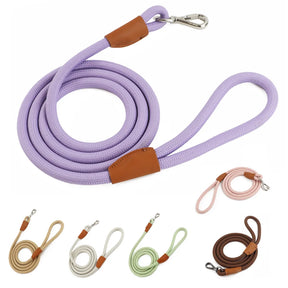 Nylon Pet Leash with Quick-Release Buckle for Everyday Walks – Ramsey™