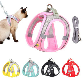 Reflective Collar & Leash Set for Dogs & Cats – Kinlo™