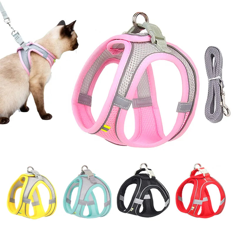Reflective Collar & Leash Set for Dogs & Cats – Kinlo™