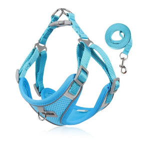 Adjustable Harness, Collar & Leash Set for Small to Medium Dogs – WalkFit™