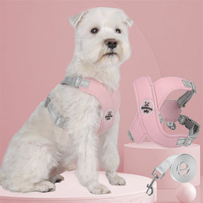 Adjustable Polyester Collar and Leash Set for Dogs and Cats – Zynn™