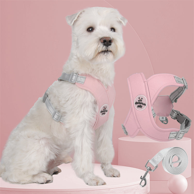 Adjustable Polyester Collar and Leash Set for Dogs and Cats – Zynn™