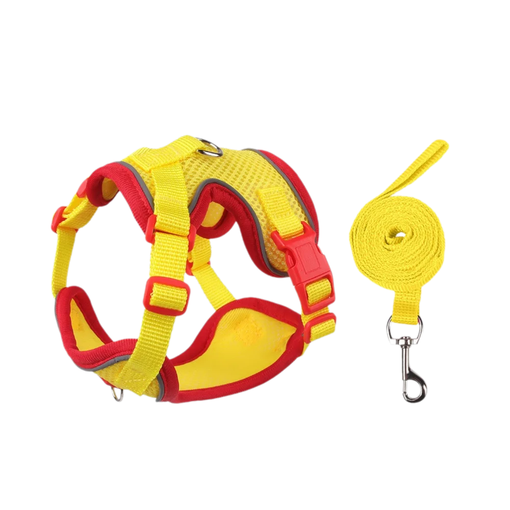 Reflective Nylon Dog Collar & Leash Set for Small to Large Dogs – Duskra™
