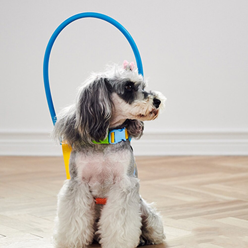 Anti-Collision Collar for Blind Pets – SightGuard™