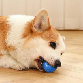 USB Rechargeable Automatic Rolling Fetch Ball Toy for Pets – Rovetta™