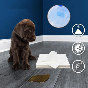 Disposable Pet Potty Pads – Ultra Absorbent, 50-Count – Driply™