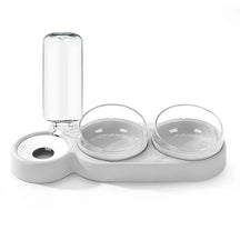 Double Pet Bowl with Automatic Water Dispenser – Trioh™