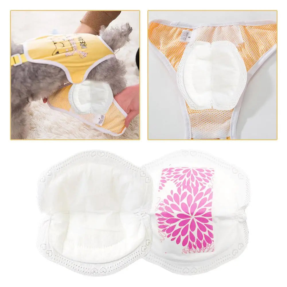Disposable Absorbent Pet Diaper Pads, 20 or 100 Pieces – Absorby™