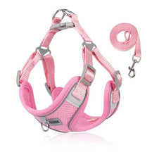 Adjustable Harness, Collar & Leash Set for Small to Medium Dogs – WalkFit™