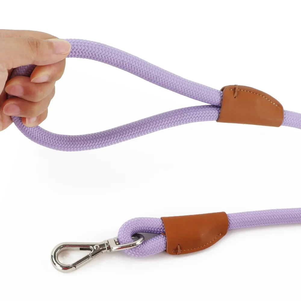 Nylon Pet Leash with Quick-Release Buckle for Everyday Walks – Ramsey™