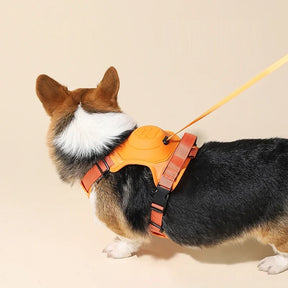 Retractable Dog Harness & Leash Set with Adjustable Straps – Retrako™