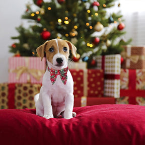 Christmas Snowflake Bow Cotton Dog Collar – Snowpine™