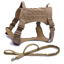 Nylon Chest Harness & Leash Training Set for Medium to Large Dogs – FieldRun™