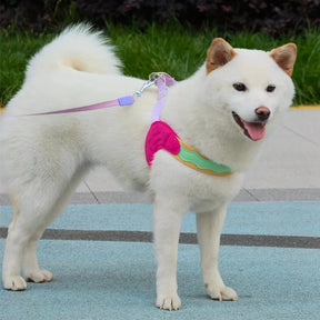 No-Pull Padded Pet Collar with Quick-Release Buckle – Huxlo™
