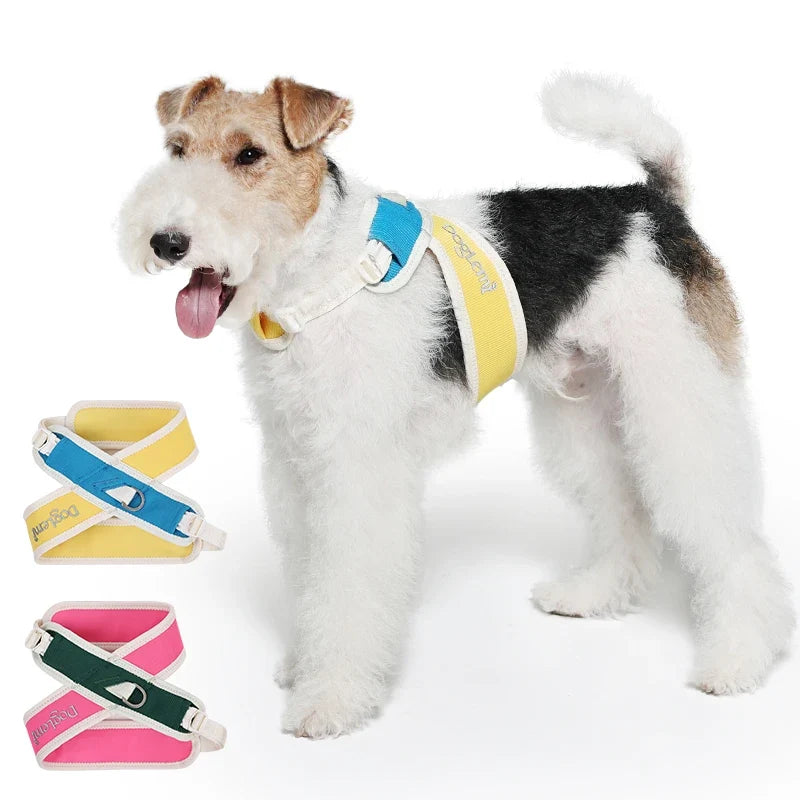 Padded No-Pull Pet Collar with Adjustable Nylon Strap – Cozwell™