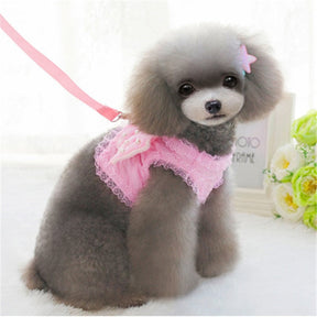 Breathable Pink Angel-Wing Harness & Leash Set for Pets – Angeline™