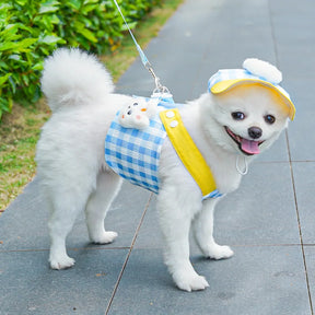 Collar, Leash & Bunny Bubble Hat Set for Pets – Bunnix™