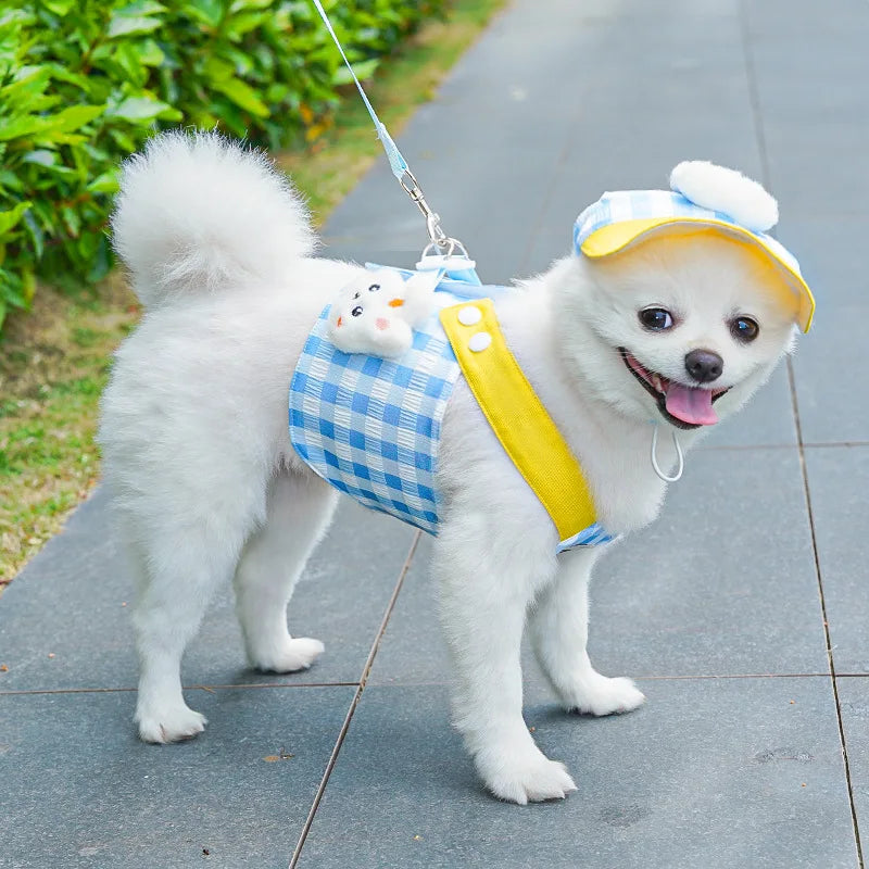 Collar, Leash & Bunny Bubble Hat Set for Pets – Bunnix™
