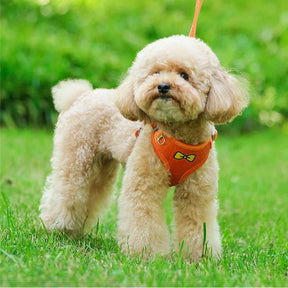 Velvet Collar & Leash Set for Small to Medium Dogs – PlushLead™