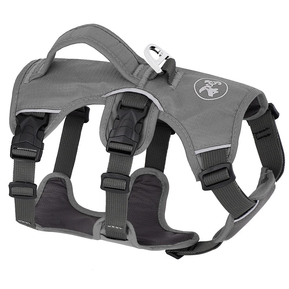 Padded Adjustable Chest Harness for Medium & Large Pets – Vorn™