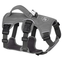 Padded Adjustable Chest Harness for Medium & Large Pets – Vorn™