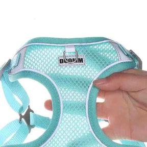 Adjustable Harness, Collar & Leash Set for Small to Medium Dogs – WalkFit™