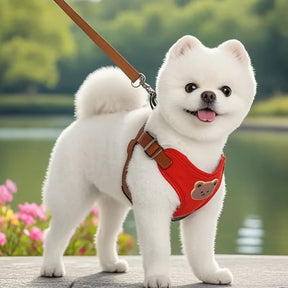 Teddy Bear Charm Polyester Collar & Leash Set for Pets – Baylo™