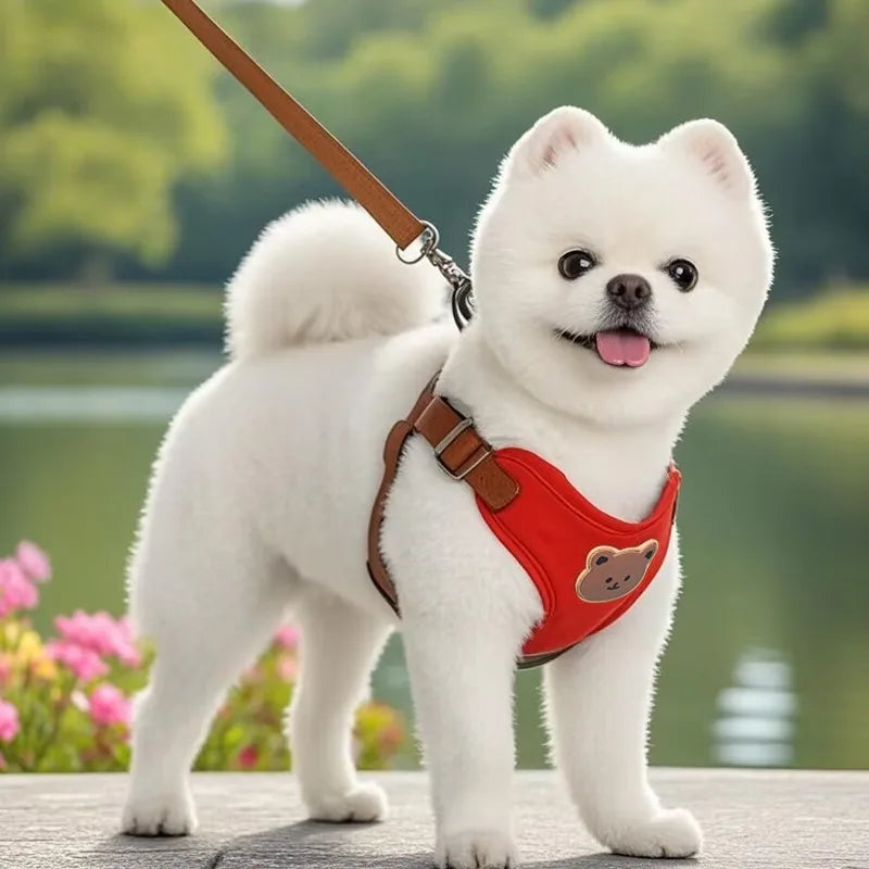 Teddy Bear Charm Polyester Collar & Leash Set for Pets – Baylo™