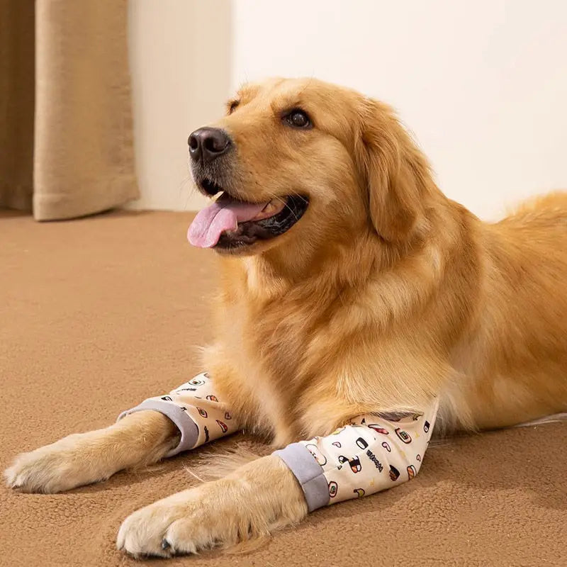 Adjustable Dog Elbow Protector Sleeve for Joint Support – Jointra™