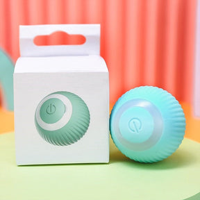 Self-Rolling Automatic Ball Pet Toy with USB Charging – Zumio™