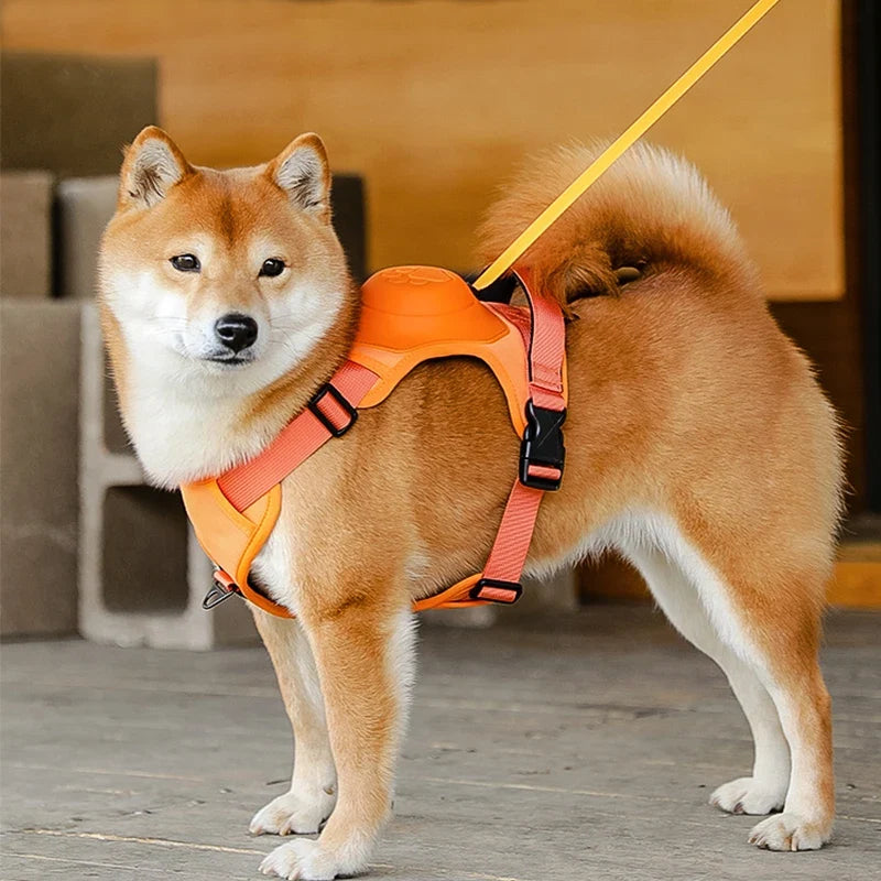 Retractable Dog Harness & Leash Set with Adjustable Straps – Retrako™