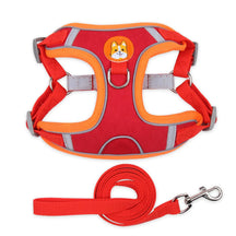 Polyester Mesh Dog Collar & Leash Set for Small to Large Dogs – Nokwell™
