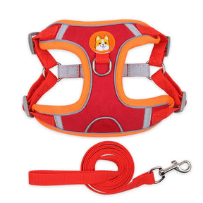Polyester Mesh Dog Collar & Leash Set for Small to Large Dogs – Nokwell™