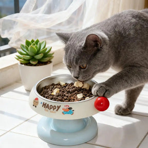 Elevated Pet Bowl for Dogs & Cats with Stainless Steel Insert – Nooka™