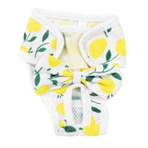Reusable Dog Diaper for Female Dogs, Lemon & Polka Dot Print – Wistera™