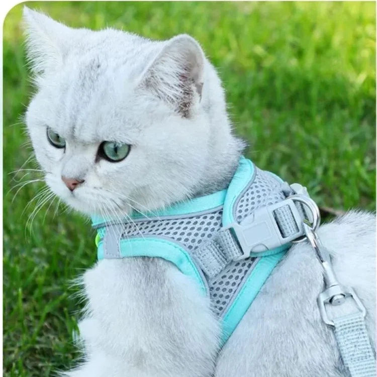 Reflective Collar & Leash Set for Dogs & Cats – Kinlo™