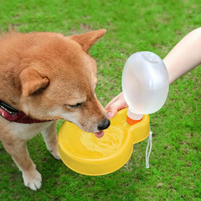 Portable Automatic Pet Water Dispenser – Aquilo™