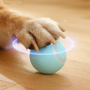 Self-Rolling Automatic Ball Pet Toy with USB Charging – Zumio™