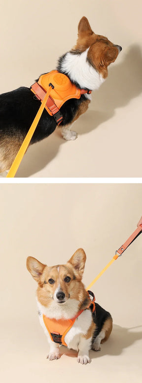 Retractable Dog Harness & Leash Set with Adjustable Straps – Retrako™